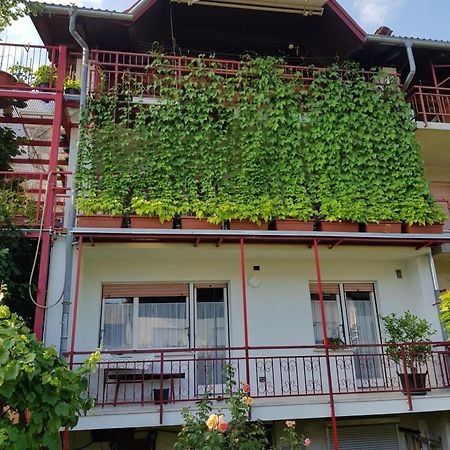 Ljubljana'S Terrace Daire Dış mekan fotoğraf