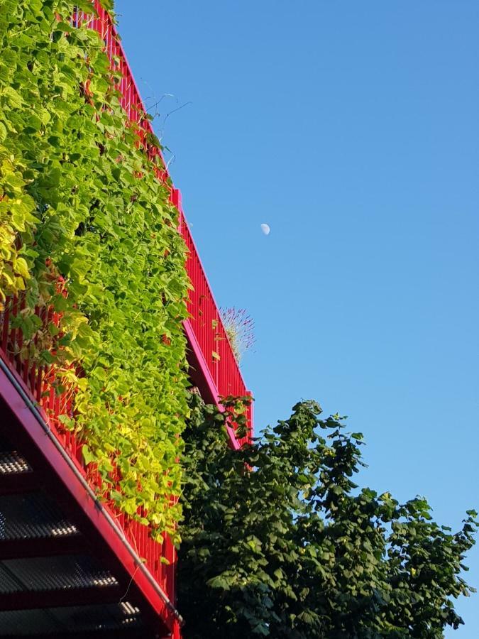 Ljubljana'S Terrace Daire Dış mekan fotoğraf