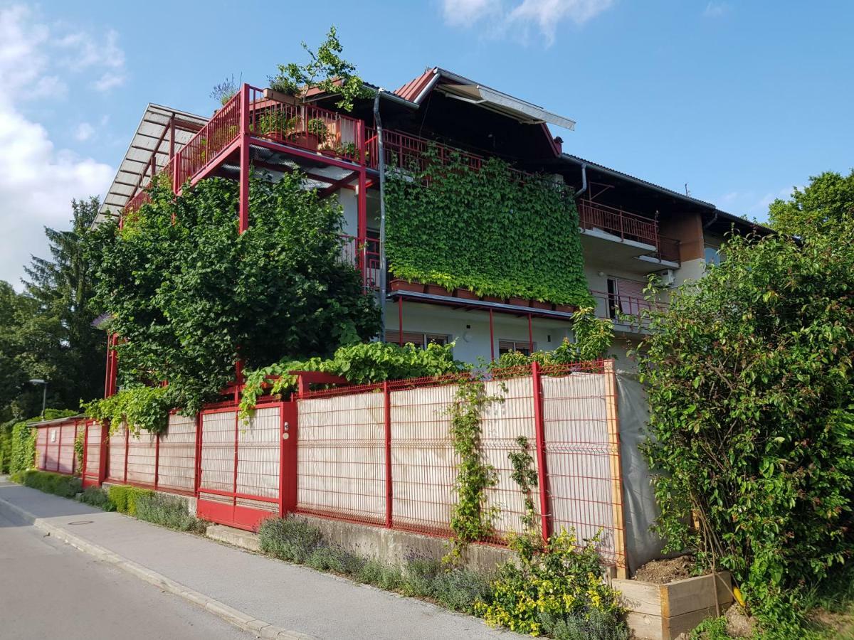 Ljubljana'S Terrace Daire Dış mekan fotoğraf