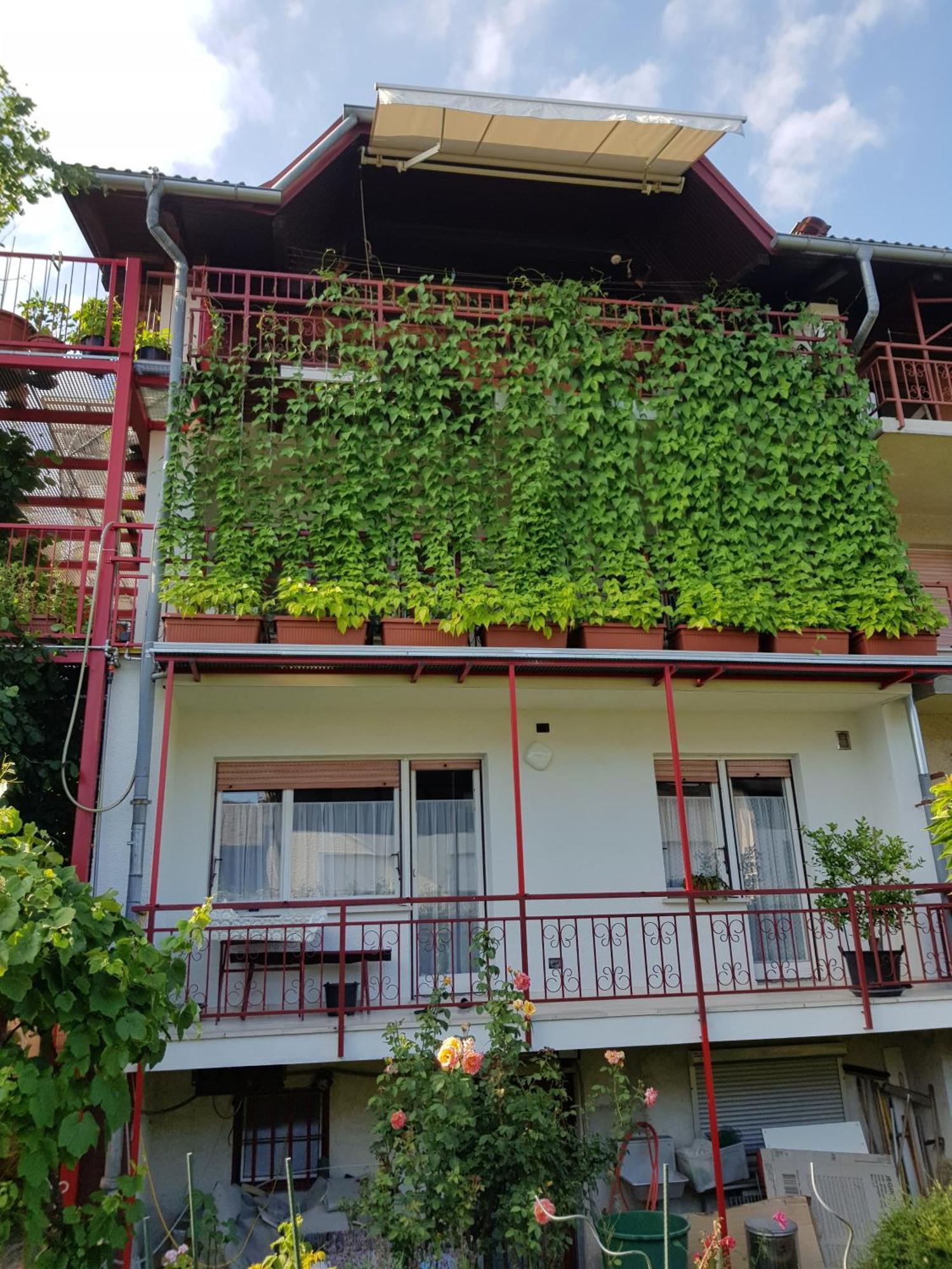Ljubljana'S Terrace Daire Dış mekan fotoğraf