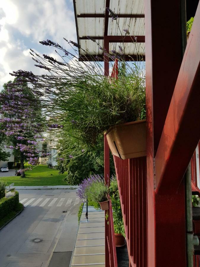 Ljubljana'S Terrace Daire Dış mekan fotoğraf